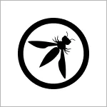 Owasp